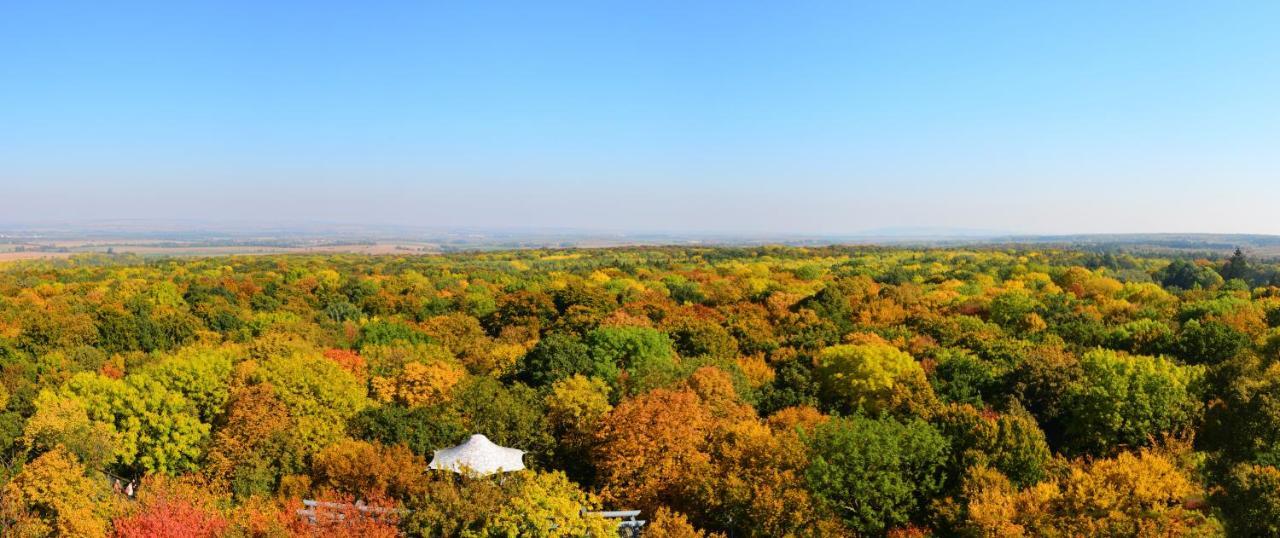 Schloss Goldacker - Das Schloss Der Gesundheit Weberstedt Dış mekan fotoğraf